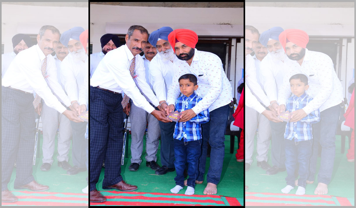 Photo Gallery